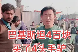 你敢相信吗？在巴基斯坦4百块可以买4头驴，其中一个才花了64块。就问大家值不值。#记录真实生活 #我的乡村生活 #农村生活视频封面