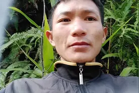 三个鸭子  只有一是公的 它活得太美好了！