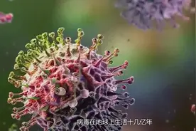 病毒在地球生活十几亿年，它才是未来要面对的威胁，大家了解吗视频封面