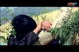 苗族搞笑视频：做白日梦见美女吻自己，白开心一场！视频封面