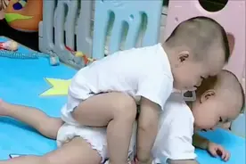 龙凤胎妹妹天天欺负哥哥，三天不打，又骑哥哥背上视频封面