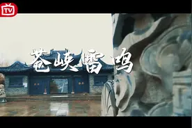 莱芜八大景观之《苍峡雷鸣》#莱芜视频封面