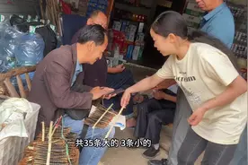 蜈蚣又涨价了，玉姐把珍藏几天的大货拿出来卖，这蜈蚣太值钱了