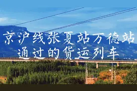 京沪线张夏站万德站通过的货运列车#济南铁路 #铁路 #火车迷