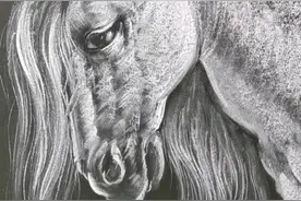 白龙马是哪位龙王的太子？#粉笔画#绘画@巨量星图小助手 @抖音短视频视频封面