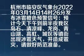 杭州市临安区气象台发布冰雹橙色预警[Ⅱ级/严重]视频封面