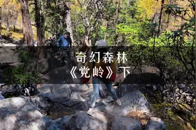 一个破旧的蓝色指示牌，带你走进甘孜浪漫的秋天。#川西美景