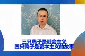 三只鸭子是社会主义，四只鸭子是资本主义的故事#财经 #干货分享