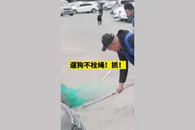 4月2日青岛，遛狗不栓绳，抓！#青岛 #宠物 （记者 毛道光）