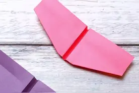 能在空中跳跃的纸飞机，平衡性也很不错哦！#暑期知识大作战 #你学废了吗 #timing