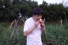 回老家打理一下菜地 第一次这么晚了还在老家做饭 现在还在～视频封面
