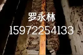 料普知识，药用动物蜈蚣是保护动物吗？答对了为你点赞视频封面