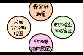 孕期产检时间表