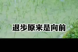布袋和尚这首禅诗，流传至今已有千年之久，很多人学佛人因此诗而开悟，希望你读过之后，也能所有开悟。#中华文化 #人生感悟 #诗词 视频封面