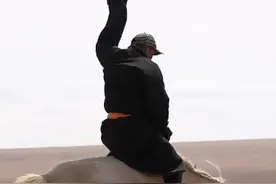 训马难吗 叫骑虎难下，套马为了给马儿理发驱虫打马印#驯马 #蒙古马 #马背上的民族 