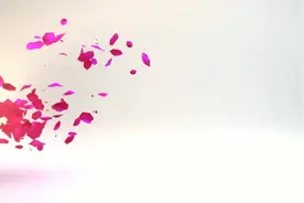 布莱切利园的姐妹们视频封面