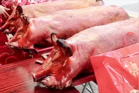 广东烧味里的：烧猪、烧肉、烧腩、火腩，具体是何意？视频封面