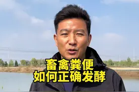 畜禽粪便如何正确发酵#水产养殖 #小龙虾养殖 #养殖人加油 视频封面