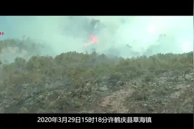 #大理 #森林防火 森林火灾 警钟长鸣（六）鹤庆“3•29视频封面