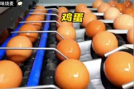 超市里面卖的鸡蛋原来是这样处理的，看完你还买吗？#鸡蛋视频封面
