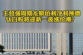 主营强周期龙蟒佰利净利预增 钛白粉将迎新一波涨价潮？#钛白粉#股市视频封面