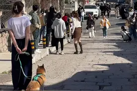 青岛金口一路的玉兰花开了，这个春天一定不要错过#青岛 #玉兰花 #旅行推荐官 #青岛旅游攻略 #青岛网红打卡地推荐视频封面