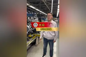 大众车的颗粒捕捉器，不堵！#速腾 #大众视频封面