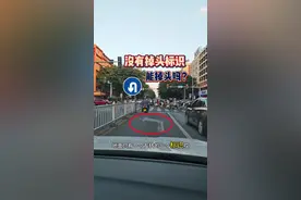 左转车道没有掉头标识，能不能掉头？新手上路要明白 #每天一个用车知识视频封面