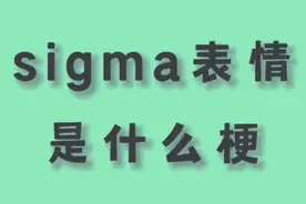 大家要的西格玛∑男人终极释义来了。#sigma西格玛 #西格玛男人