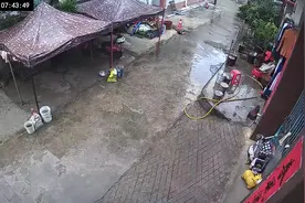 快乐小狗下雨天乖乖的没有乱跑耶就在家门前等着开饭视频封面
