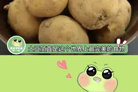 土豆是世界上最完美的食物，因为它无论怎么做都好吃，不接受反驳！！！#娱乐评论大赏 #土豆 #土豆的神仙吃法
