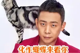 彼岸无边，化蝶相见 #张译 #明星故事#上热门@DOU+小助手视频封面