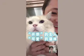#万物皆有灵性 #宠物沟通师  这期的猫猫和主人是最可爱的！！！视频封面