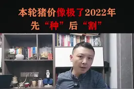2024年猪价像2022 但历史会重演吗？#猪价 #猪价分析 #猪价行情 #养猪 #养猪人视频封面