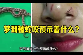 #梦到被蛇咬 #解梦 #生活情感 #健康 #心理视频封面