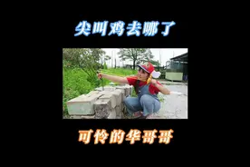 只要不挠我痒痒，挠谁我都很努力！#搞笑 #挠痒痒视频封面