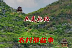 农村广大村民迎来好消息！国家要发钱了；农村发放这5类补贴视频封面
