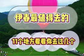 伊春比较合适去的11地方，看看你去过几个？，#爱伊春 #AI伊春 #旅行推荐官 #伊春 #风景如画的地方 @网信伊春视频封面