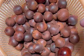 收回来一筐不好看大尺寸小叶紫檀全部改为小尺寸精华的108颗#文玩手串 #小叶紫檀 #开料 #以木会友 #带你玩木头视频封面