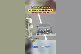 女子高速骑压实线停车摘紫藤花，记9分罚款200元。高速交警提醒：高速行驶切勿随意停车，切勿贪恋路边的鲜花、野果、野菜，引起不必要的麻烦。视频封面