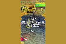 兽王猎如何召唤两个宝宝，昨晚问ai半天才明白。#魔兽世界视频封面