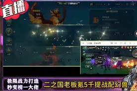 二之国新区老板氪5千，现场提战搭配幻兽。#二之国