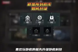 “避难所升级思路 你们都是怎么升级的”#和平精英教学