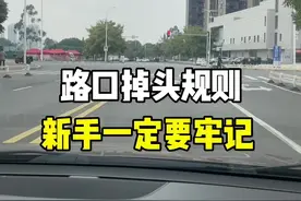 路口掉头规则，新手一定要牢记。#路口掉头规则 #带你懂车 #新手上路 #每天一个用车知识 #汽车知识 @抖音汽车视频封面
