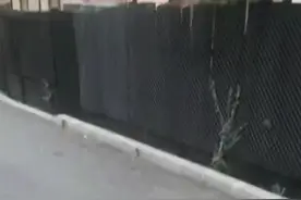 #搞笑配音视频封面