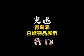 青鸟免费物品来了#光遇 #光遇追光计划 #光遇新季节#光遇季节