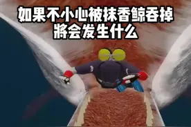 如果你不小心被抹香鲸吞掉，将会发生什么？ #知识科普 #科普 #涨知识