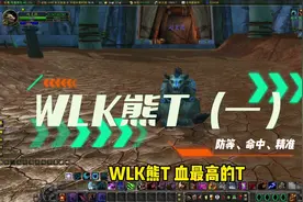 WLK熊T（一）防等、命中、精准#魔兽世界 #魔兽世界怀旧服视频封面