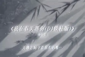 等待花又开的时候和你在一起 #dj降调视频封面