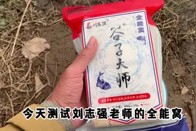 优缺点全部暴露！刘志强老师全能窝，谷子大师水下喂鱼测试。